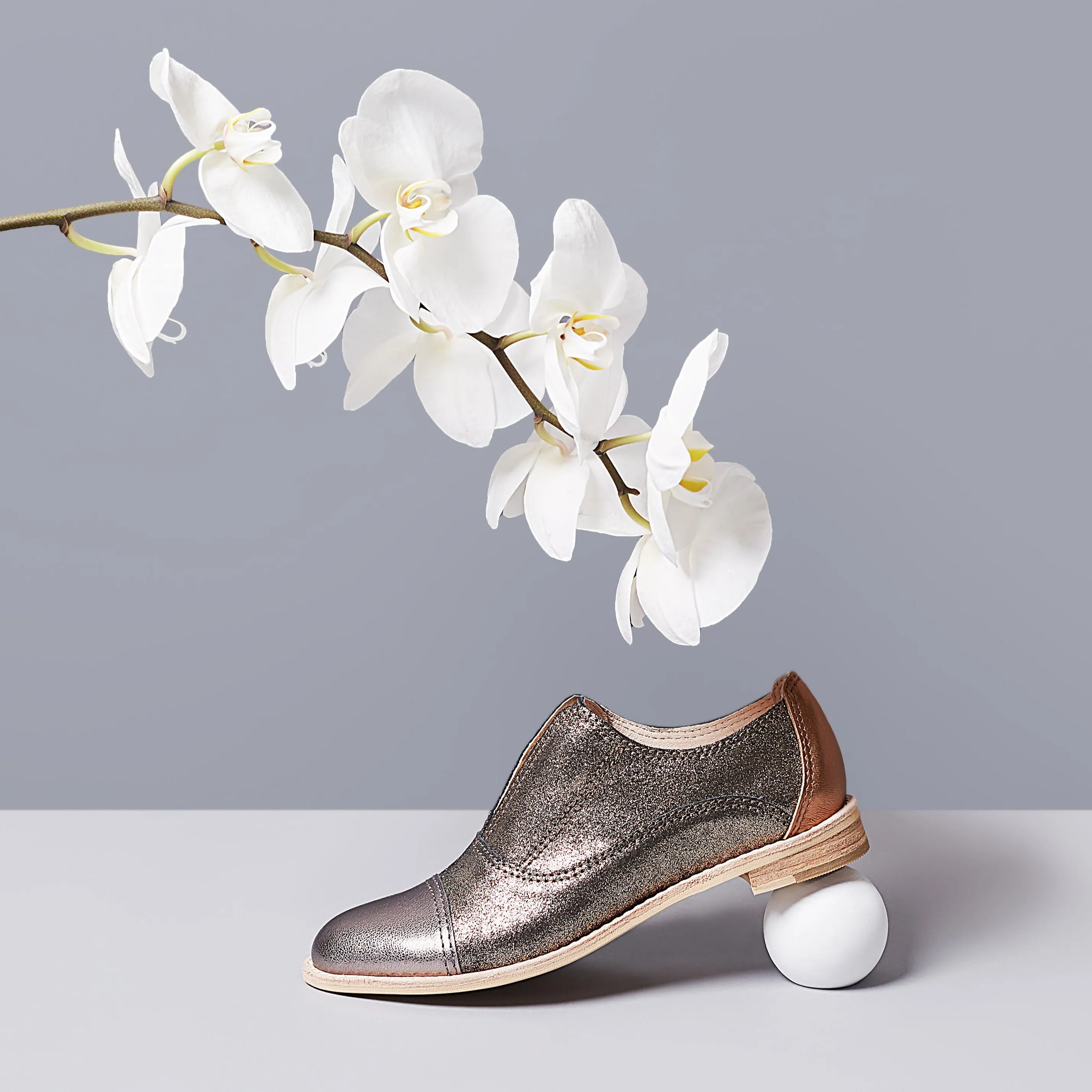 ORCHID Bronze Oxfords